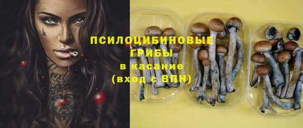 гидра Гусь-Хрустальный