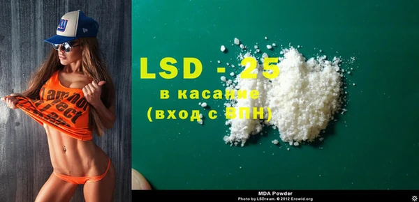 стаф Гусев