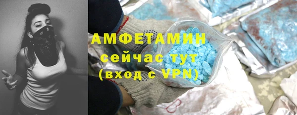 стаф Гусев