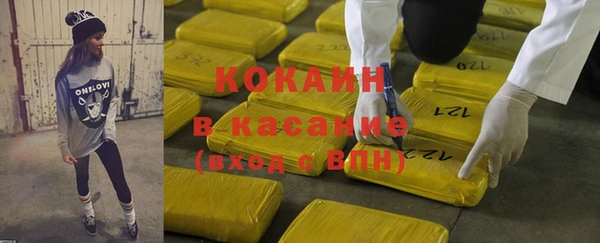 гидра Гусь-Хрустальный