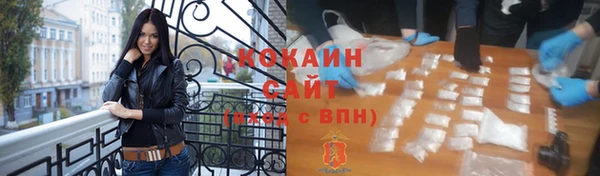 гидра Гусь-Хрустальный