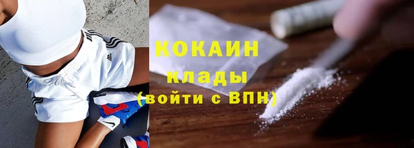 стаф Гусев