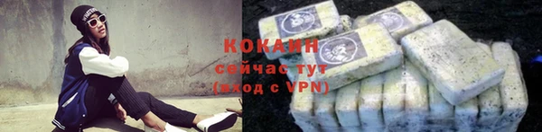 стаф Гусев