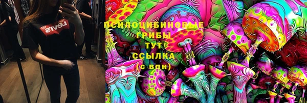 стаф Гусев