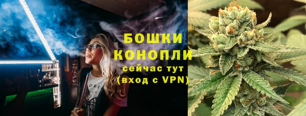 гидра Гусь-Хрустальный