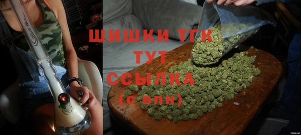 стаф Гусев