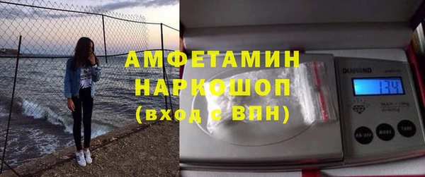 стаф Гусев