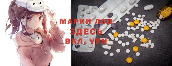 стаф Гусев