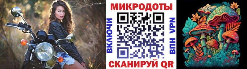 Купить  Чайковский  Псилоцибиновые грибы мицелий 